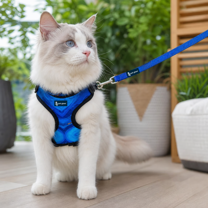 Cat Harness Leash for Walks