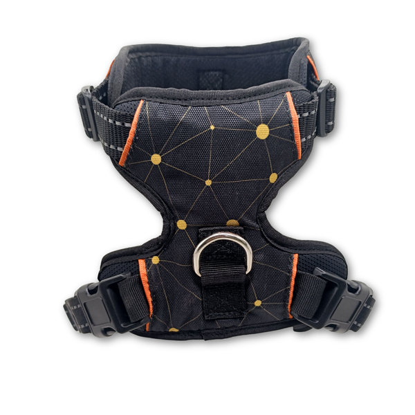 ORION-1