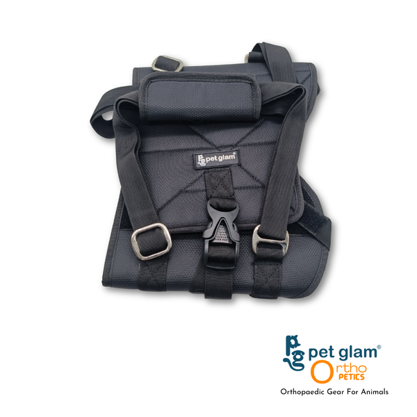 Loki-1