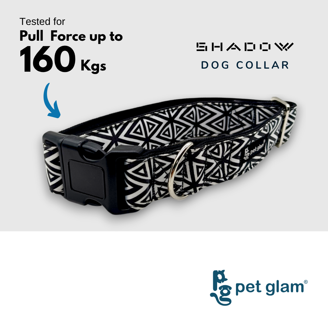 Shadow-4